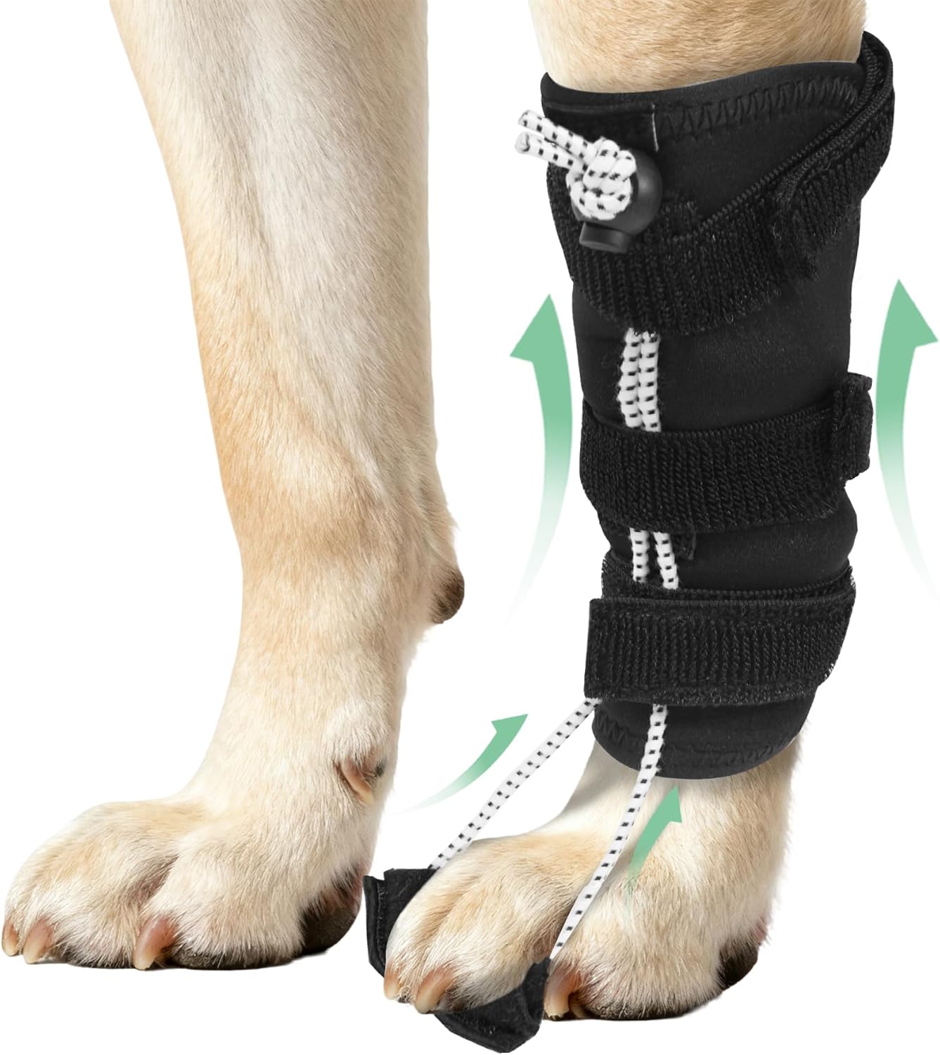 Dog Knuckling Brace, Dog Toe Grips for ACL Injury, Hock Fracture, Arthritis & Meniscus Tears, Rear Legs, L