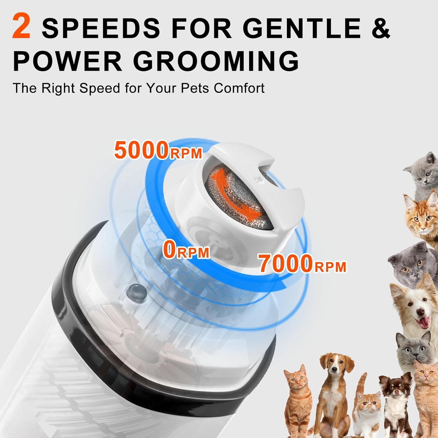 2-in-1 Dog Nail Clippers and Cat Nail Clippers with Light, Quick Sensor and Safety Guard, USB Rechargeable Pet Nail Trimmer with 2 LED Lights for Large Medium Small Dogs and Cats (White)