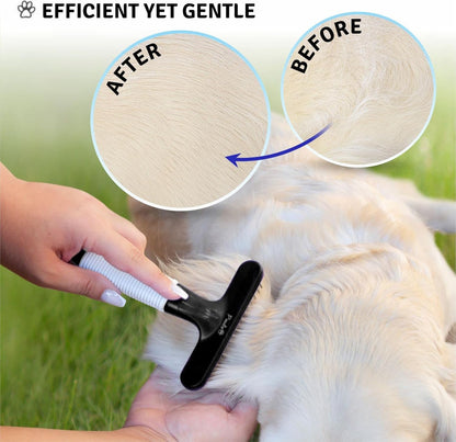 POODLIE Poodle Pet Dog Grooming Rake| Dematting Tool with Stainless Steel Shedding Comb for Pets | 2 Rows of Pins Gently Remove Loose or Tangled Hair from Undercoat | Purple Handle