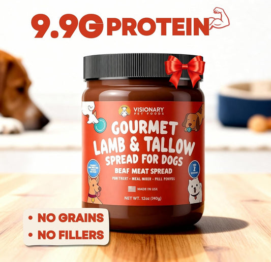Visionary Pet Foods Beef Meat Spread - Healthy Dog Treat - Alternative to Dog Peanut Butter, Xylitol Free, No Sugar and Filler Free - Use on Lick Mat, Food Mixer, Pill Pockets - 12oz Jar