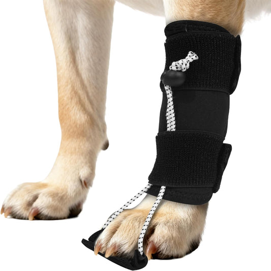 Dog Knuckling Brace, Dog Toe Grips for ACL Injury, Hock Fracture, Arthritis & Meniscus Tears, Rear Legs, L