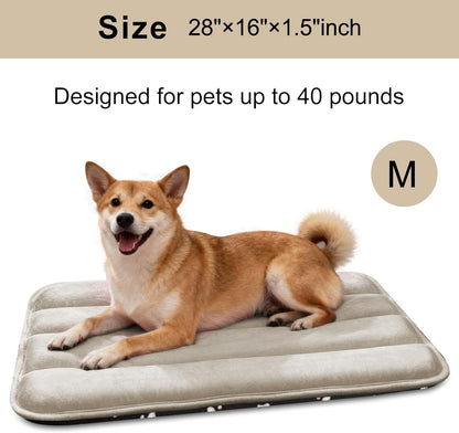 Dog Bed Mat, Reversible Crate Pad & Cute Dog Bed - Machine Washable Kennel Mat with Ultra Soft for Small Dogs (Cool/Warm), 24" x 18", Grey&Star