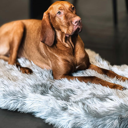 IHAPPYDOG Luxury Faux Fur Orthopedic Dog Bed, Memory Foam Dog Bed for Small, Medium, Large and XL Pets, Fluffy Pet Bed with Waterproof and Washable Cover (White w/Brown Tips, 50"x30")