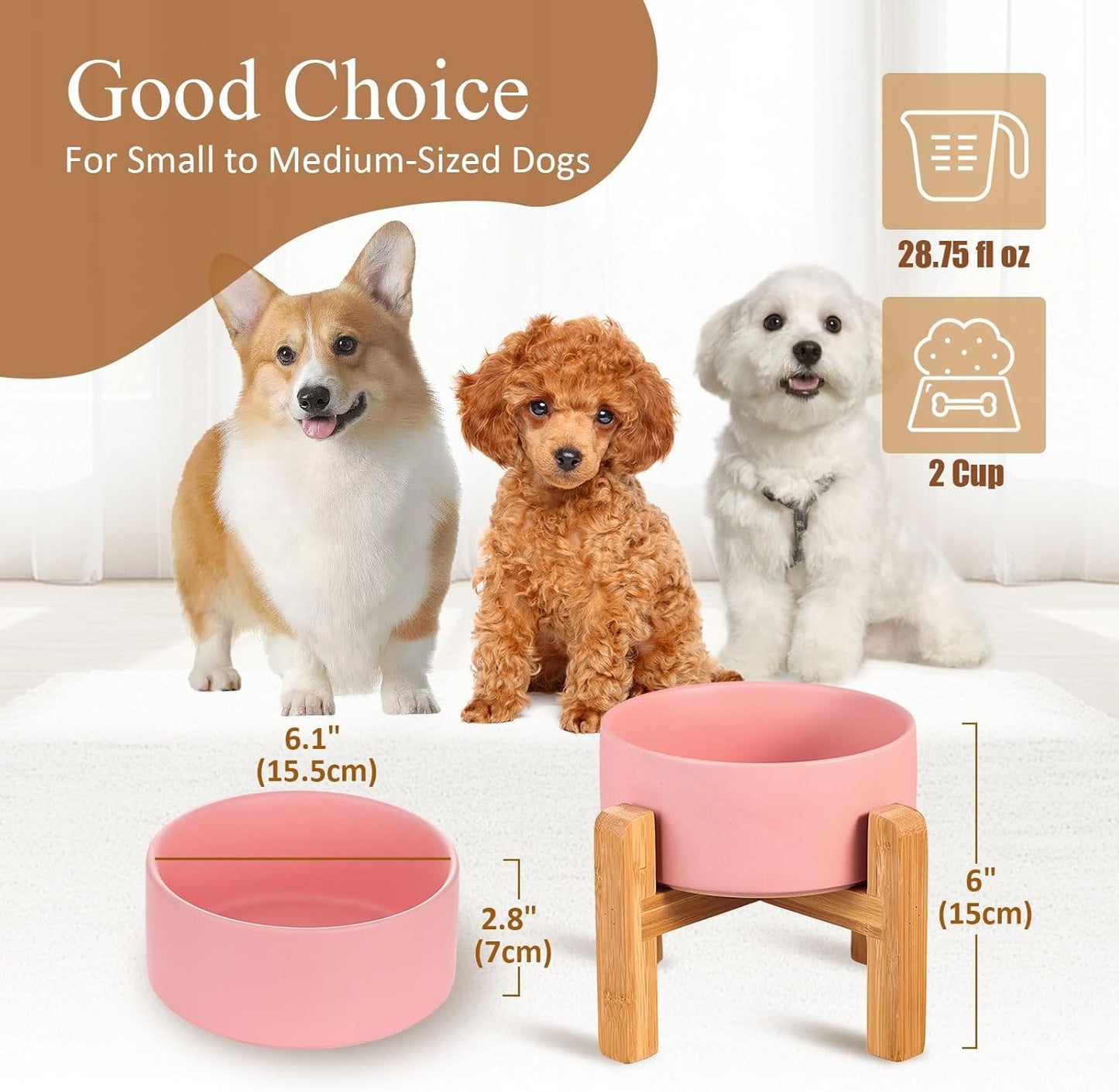 Elevated Ceramic Cat Bowl - Cat Food Bowl with Bamboo Stand - Raised Dog Dish for Puppies - Anti Vomiting, Stress Free - 13.5 oz / 400 ml - White
