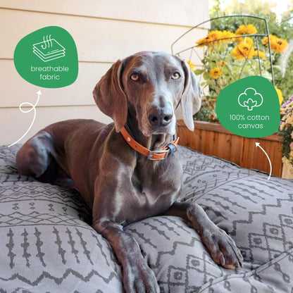 Molly Mutt Medium to Large Dog Bed Cover- Forever Young Print - Measures 27”X36”X5’’ - 100% Cotton - Durable - Breathable - Sustainable - Machine Washable Dog Bed Cover (Dd82b)