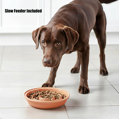 Elevated Dog Bowl Stand with 3 Large Ceramic Bowls – Raised Feeding Station for Medium & Large Dogs, Includes 2 Standard Bowls + 1 Slow Feeder, Durable Iron Frame, Non-Slip (White)