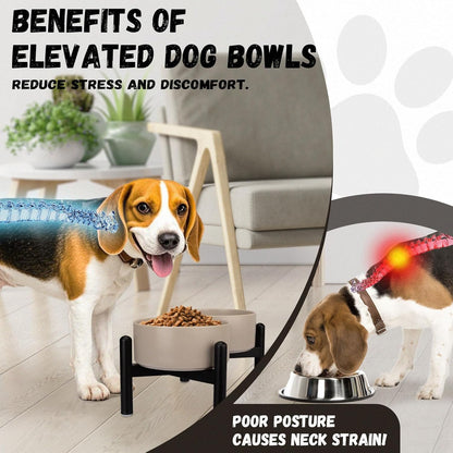 Raised Ceramic Dog Bowl Set - Elevated Double Dishes with Stainless Steel Stand - Food and Water Bowls for Small to Medium Dogs - Each Holds 3.5 Cups (29.57 fl oz) - White
