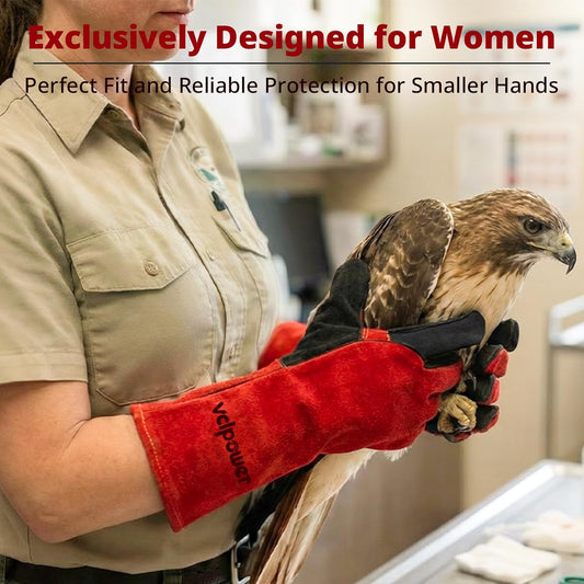 vclpower Animal Handling Gloves Size M Fit for Women & Small Hands Bite Proof Double Leather Reinforced Padding Dog,Cat Scratch,Bird Handling Falconry Gloves Grabbing Reptile Squirrel Snake Bite 16in