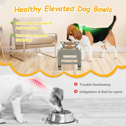 Elevated Raised Dog Bowl Stand with 2 Stainless Steel Bowls, Adjustable Height for Medium Large Dogs, 12.36" - 3.7" Foldable Feeder, Grey