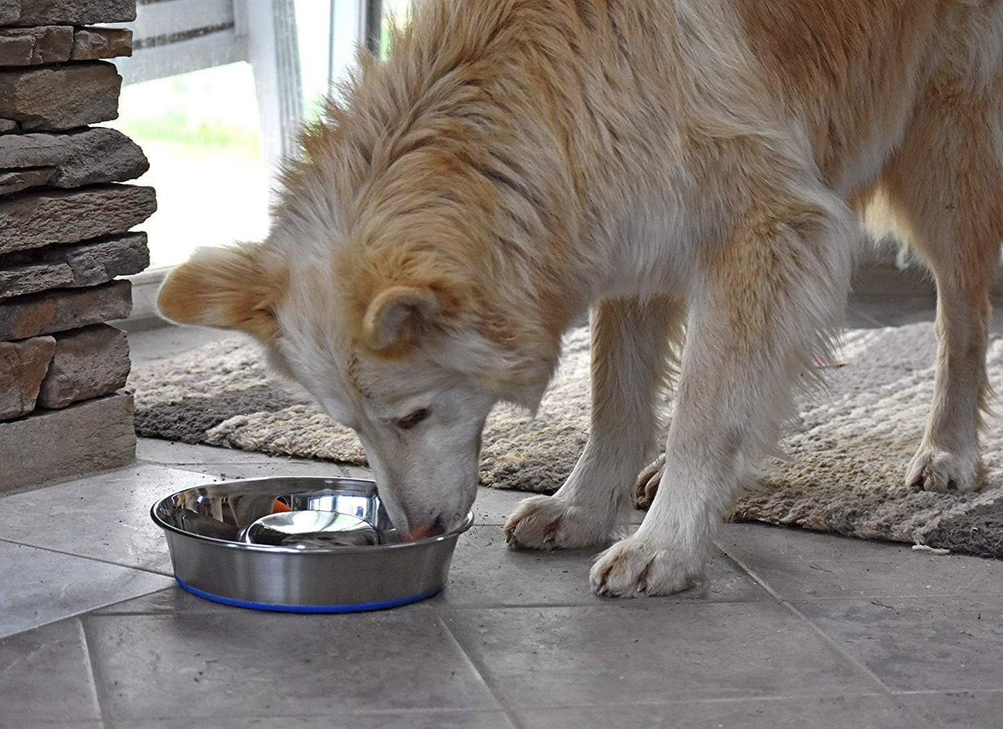 OurPet's DuraPet Slow Feed Premium Stainless Steel Dog Bowl, Silver (2040010301)