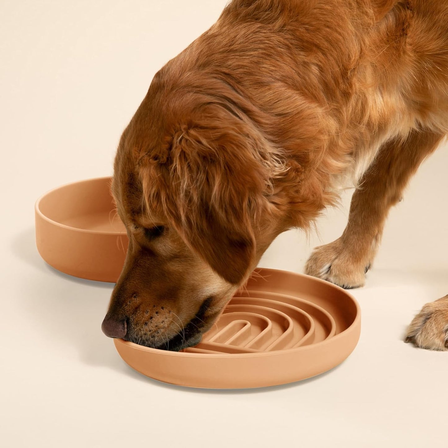 Should We Go? Slow Feeder for Dogs & Puppies, The Slowdown Bowl Silicone Slow Eating, Modern Lick Mat Design, Reduces Gulping, Fits 2 Cups, 7.5” Across x 1.5” Tall, Mealtime Challenge, Medium-Blush