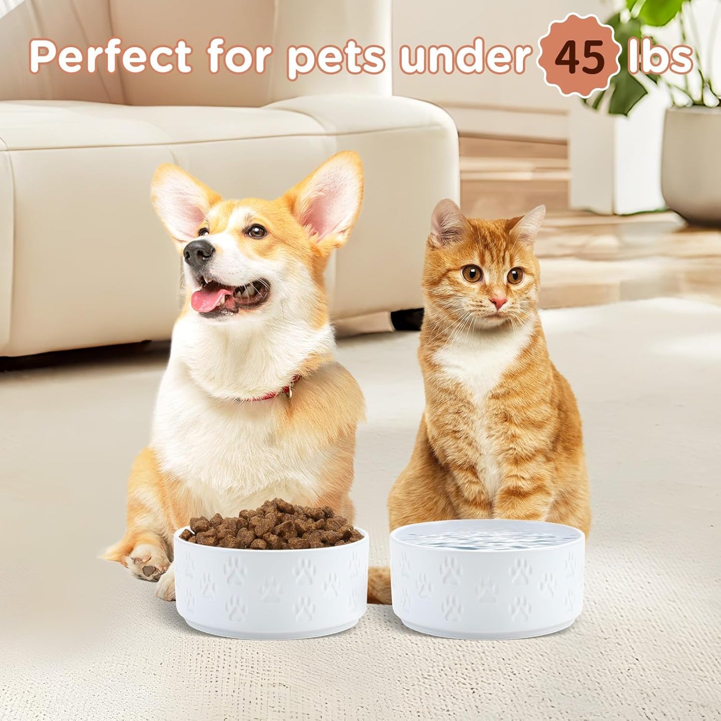 SPUNKYJUNKY Elevated Dog Bowls Ceramic, 6.1'' Dogs and Cat Food Water Bowls Raised with Non-Slip Bamboo Stand for Medium Sized Breed Microwave Dishwasher Safe - 28.7 OZ,Beige