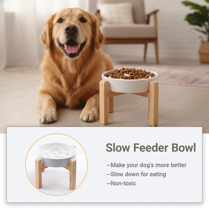 Ceramic Slow Feeder/Dog Bowl for Small Medium Dogs,Elevated/Raised Slow Feeding Dog Food Water Dish Heavy Weighted,Puzzle Eating Bowl Moder （Stars Mark-Forest Green, 8.26in）