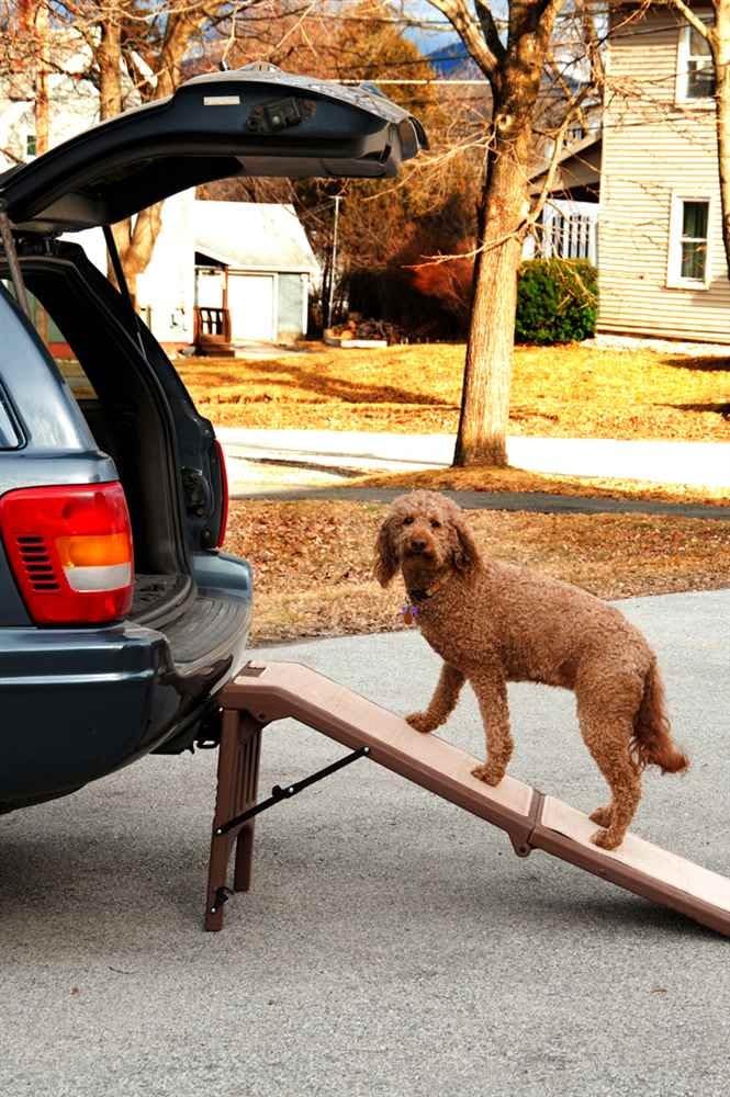 Pet Gear Free Standing Pet Ramp for Cats and Dogs, No Assembly Required, Easy Fold for Storage or Travel, Portable, Holds Up to 100lbs, Wheat