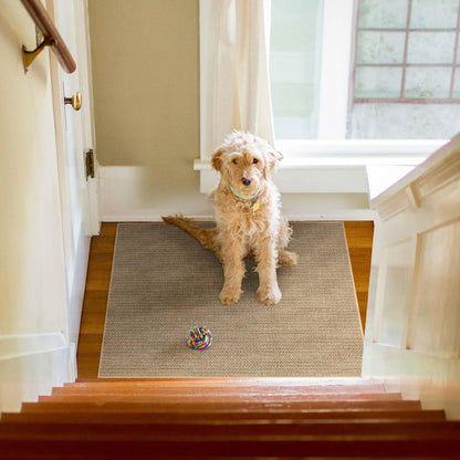 Stair Treads Non Slip for Wooden Steps Indoor 9" x 36" 15 Pack Extra Wide Stairs Tread Carpet Runner, Step Pads with Reusable Adhesive for Dogs Kids Elders, Machine Washable, Black