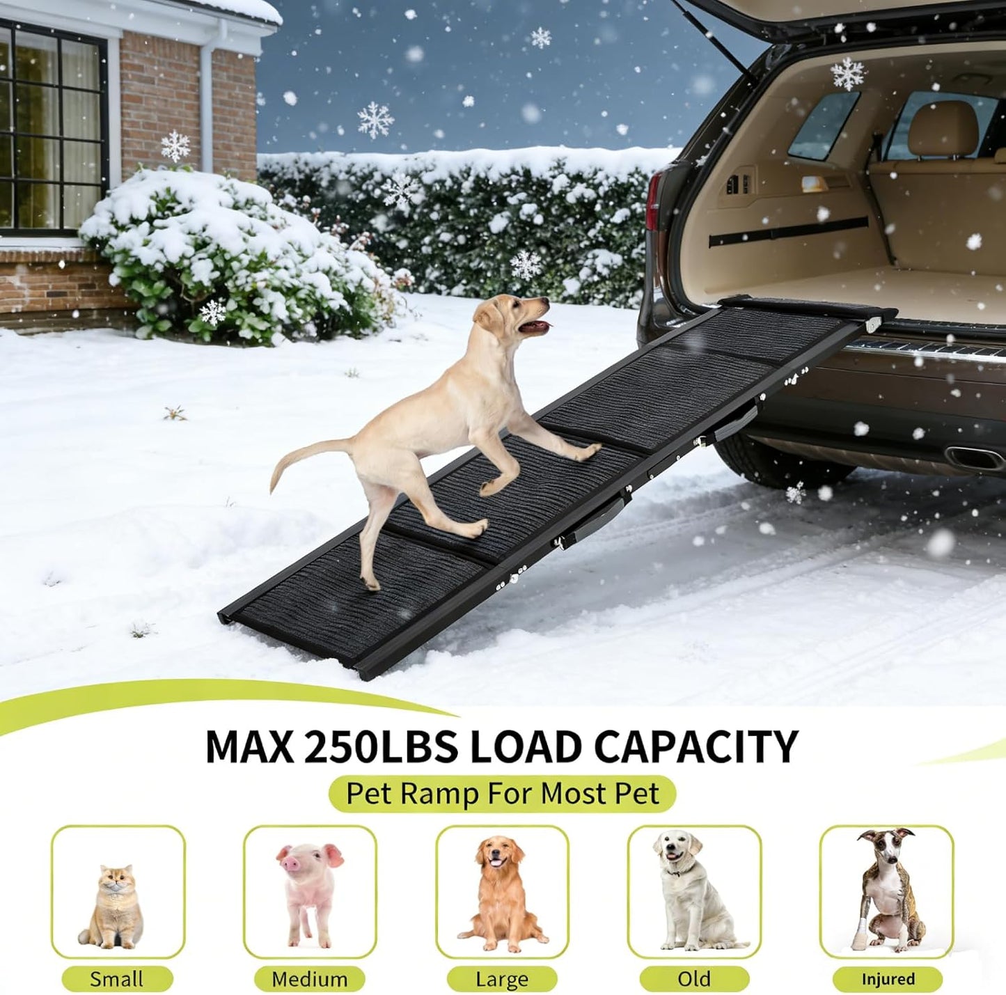 Garvee 20" Extra Wide Folding Dog Ramp for Car, 71" Long Heavy Duty Non-Slip Portable Pet Ramp, Large Dogs Up to 250 lbs, Outdoor & Indoor Use