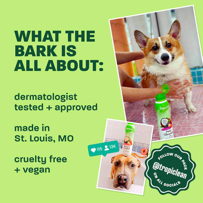 TropiClean Deshedding Dog Shampoo, Fast-Acting Shedding Control & Coat Softener, Puppy Safe, Made in USA, Lime & Coconut Scent, Cat Friendly, 20oz.