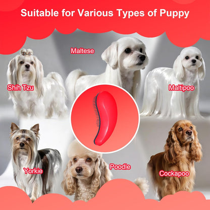 Small Dog Brush- Grooming Tool for Teddy, Yorkies, Maltese, Shih Tzu, Chihuahua - Puppy Hair Brush (Blue)