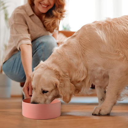 6'' Ceramic Raised Dog Bowl - 30Oz Dog Food & Water Bowl with Elevated Non-Slip Bamboo Stand, Dishwasher & Microwave Safe, Anti Vomiting Heavy Duty Pet Bowl for Small and Medium Dogs, White