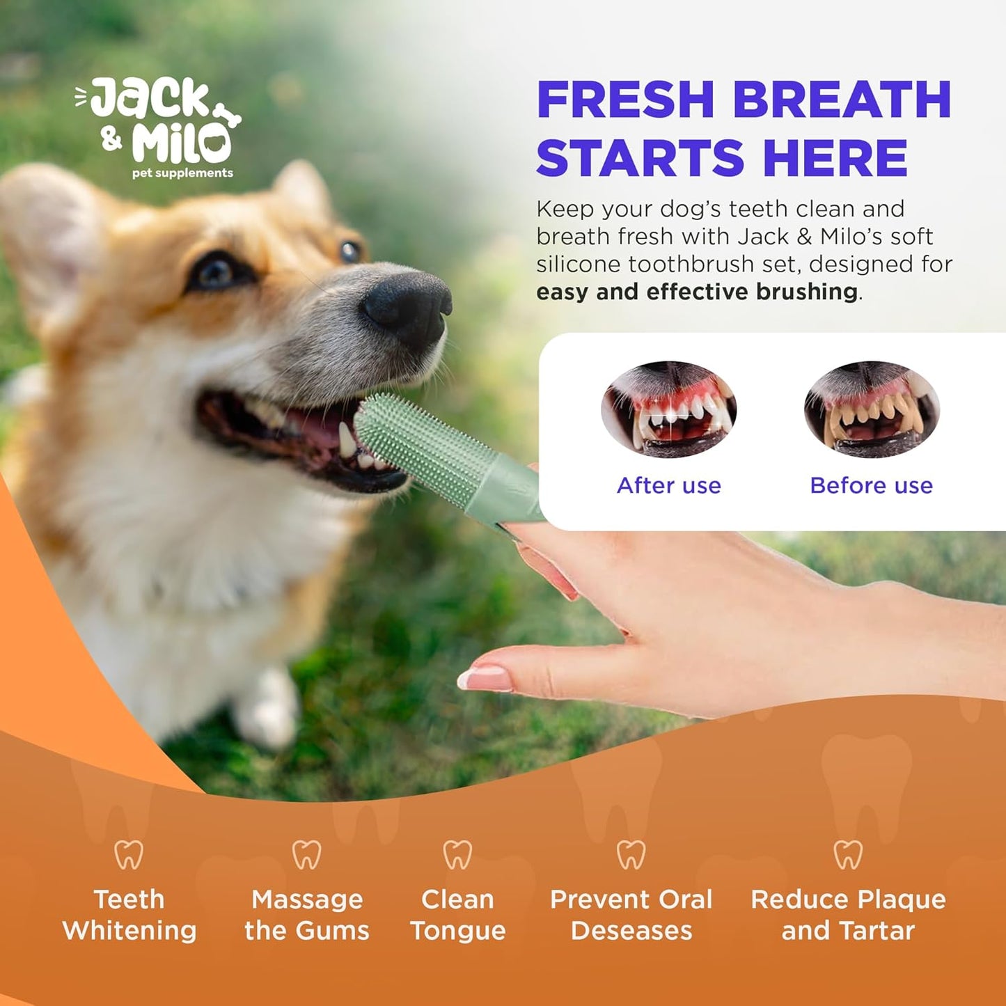 Jack & Milo 2-Pack Soft Silicone Pet Toothbrush – Gentle Finger Toothbrush for Small Dogs, Puppies & Cats – Safe Oral Care for Baby Pets – Promotes Healthy Teeth & Gums – Blue & Green