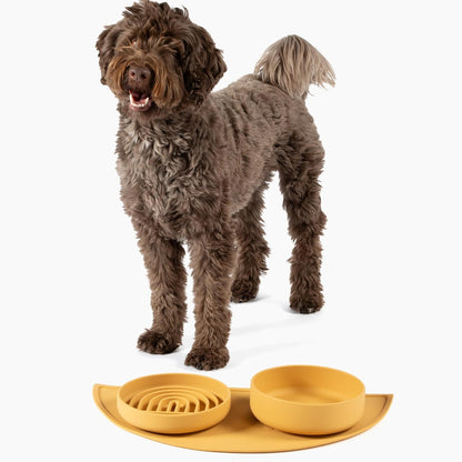 Should We Go? Slow Feeder for Dogs & Puppies, The Slowdown Bowl Silicone Slow Eating, Modern Lick Mat Design, Reduces Gulping, Fits 2 Cups, 7.5” Across x 1.5” Tall, Mealtime Challenge, Medium-Blush