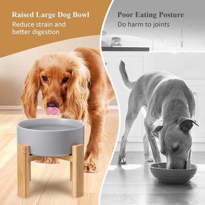 Elevated Ceramic Cat Bowl - Cat Food Bowl with Bamboo Stand - Raised Dog Dish for Puppies - Anti Vomiting, Stress Free - 13.5 oz / 400 ml - White