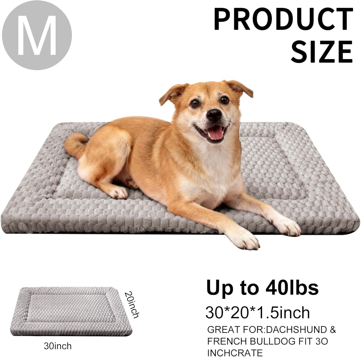 Dog Bed Mat, Reversible Crate Pad & Cute Dog Bed - Machine Washable Kennel Mat with Ultra Soft for Small Dogs (Cool/Warm), 24" x 18", Grey&Star