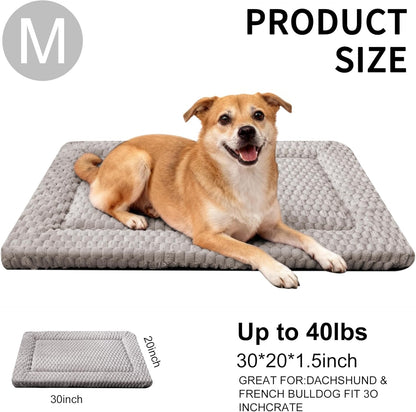 Dog Bed Mat, Reversible Crate Pad & Cute Dog Bed - Machine Washable Kennel Mat with Ultra Soft for Small Dogs (Cool/Warm), 24" x 18", Grey&Star