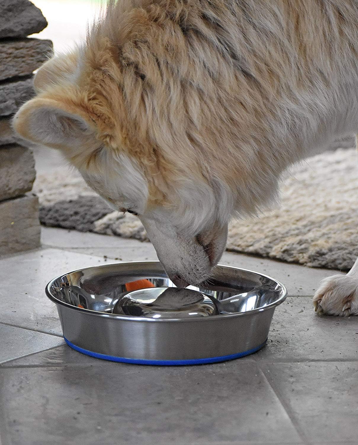 OurPet's DuraPet Slow Feed Premium Stainless Steel Dog Bowl, Silver (2040010301)
