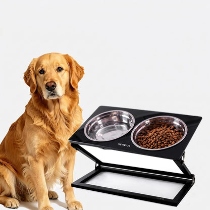 Elevated Dog Bowls, Adjustable Raised Dog Bowl Stand with 2 Stainless Steel Food Bowls 20°Tilted Water Bowls for Medium Small Sized Dogs (Black, Medium)