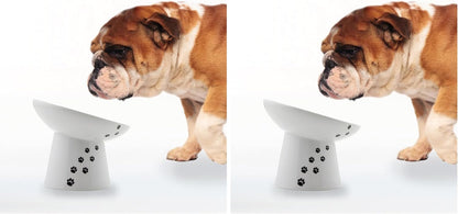 Necoichi Raised Dog Food Bowl, Elevated, for Dogs and Cats, Pets Feeding Feeder Non-Slip for Small Dogs Dishwasher and Microwave Safe, No.1 Seller in Japan! (Dog, Extra Wide Tilted)