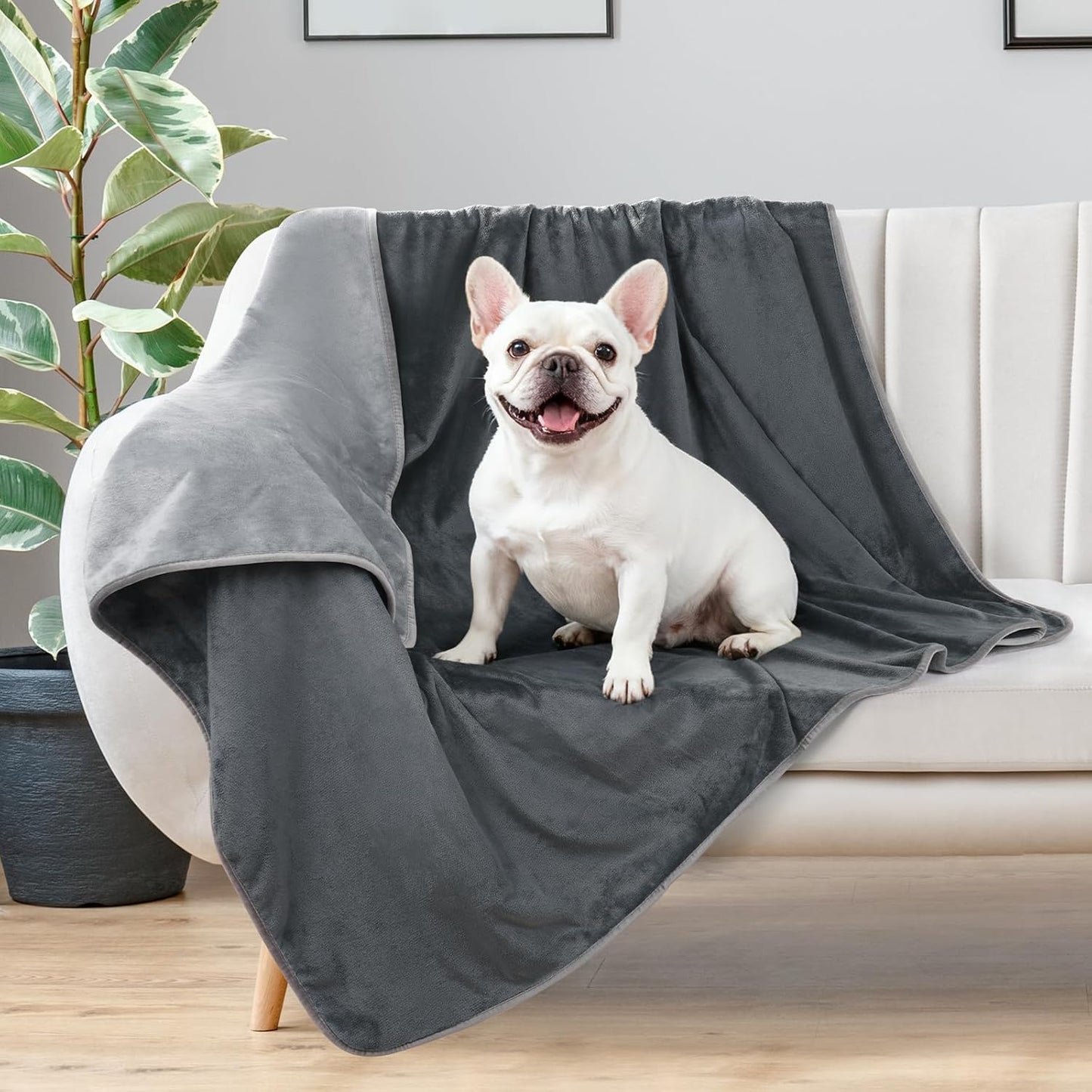 LOOBANI Waterproof Blanket for Bed: Reversible Soft Flannel Twin Bed Blanket 60" x 80", Leakproof Throw Spill-Proof Dog Pet Blanket for Couch Cover, Movie Time, Camping, Travel, Grey