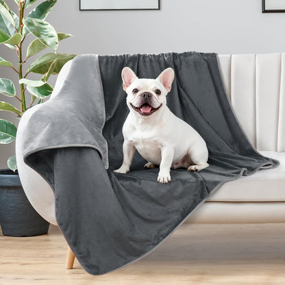 LOOBANI Waterproof Blanket for Bed: Reversible Soft Flannel Twin Bed Blanket 60" x 80", Leakproof Throw Spill-Proof Dog Pet Blanket for Couch Cover, Movie Time, Camping, Travel, Grey