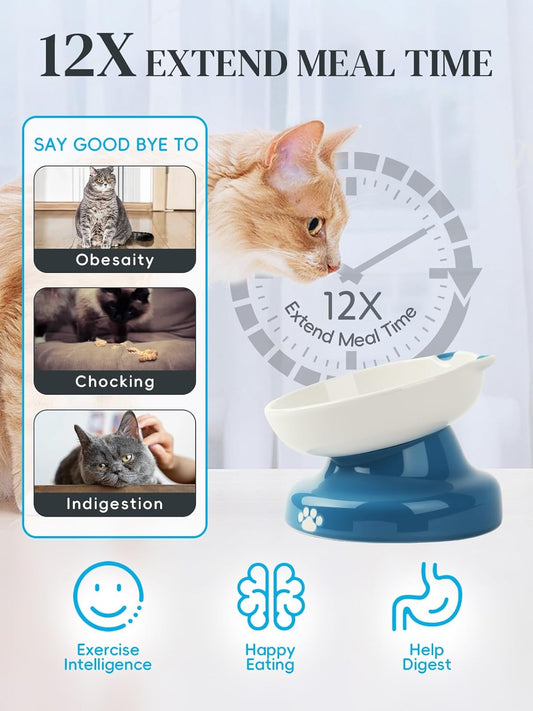 Y YHY Ceramic Cat Slow Feeder, Elevated Dog Food Bowl Tilted Design, Slow Feeder Bowl no Black Chin, Cat Shape for Dry and Wet Food