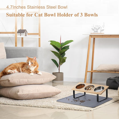 Upgraded Elevated Cat Bowls with Food Mat,15°Tilted Stand Anti Vomiting Raised Cat Dishes for Food and Water,2 Stainless Steel Bowls for Cats and Puppy