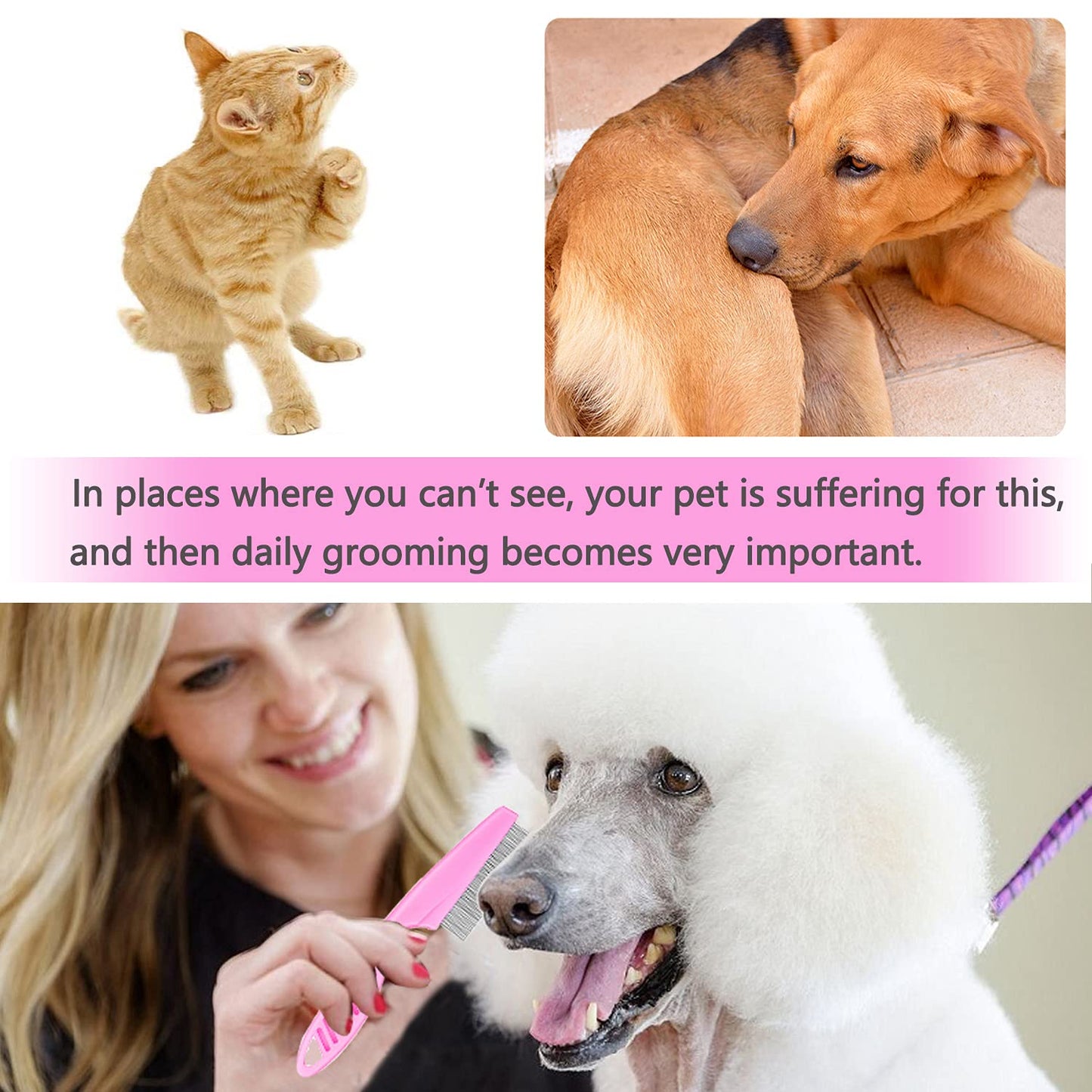 Cat & Dog Grooming Set - Fine Tooth Comb for Removing Dandruff Flakes & Hair (Blue)