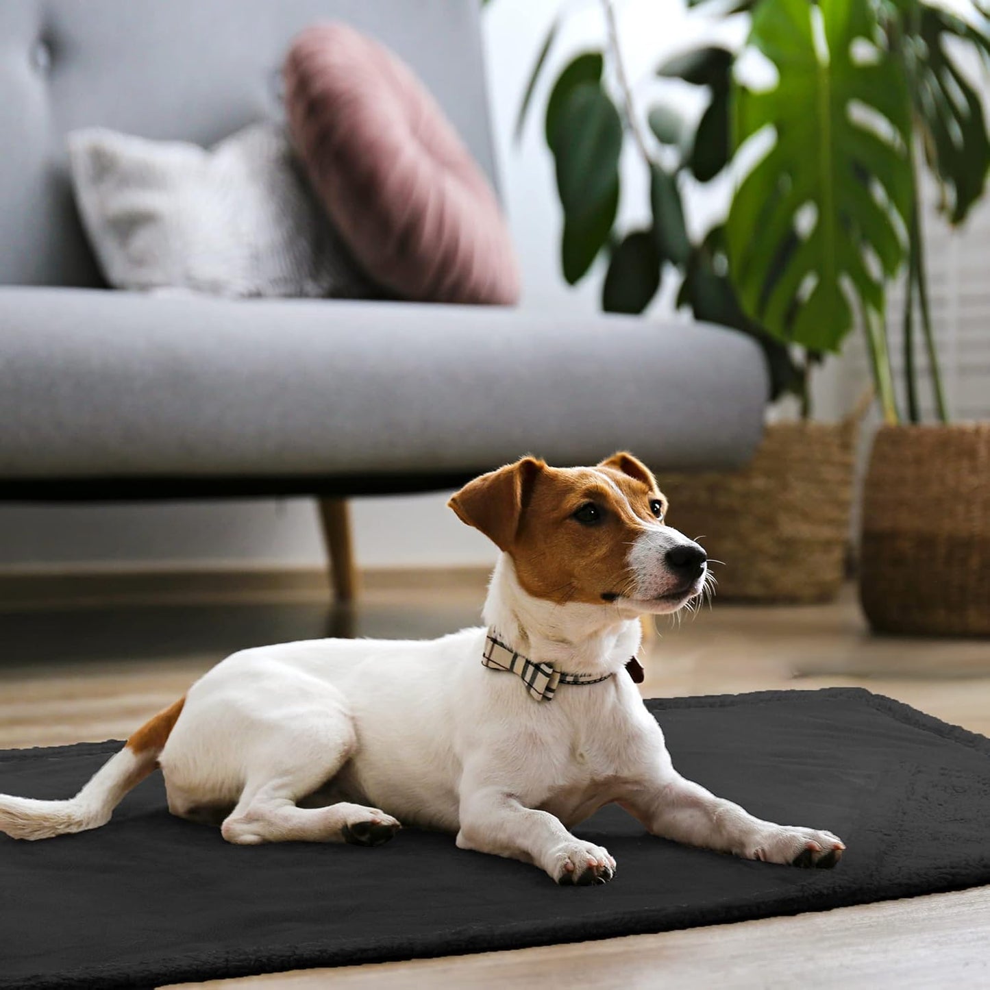 Kritter Planet Waterproof Dog Blanket, Reversible Water Proof Pet Blanket for Couch, Bed & Sofa, Washable Couch Covers for Large Dogs - Protects Furniture from Fur, Dirt, and Accidents