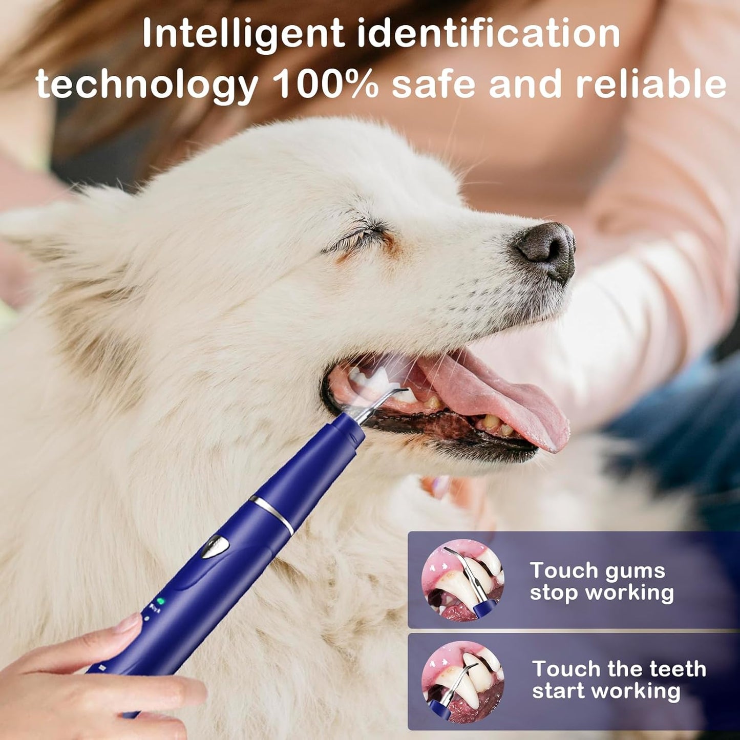 Plaque Remover for Teeth, Pet Ultrasonic Cleaner, Dog Plaque and Tartar Remover with LED Light, Dog Teeth Cleaning Dental Care Kit for Tartar and Stains, Suitable for Dogs and Cats (Black)