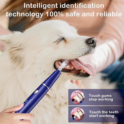Plaque Remover for Teeth, Pet Ultrasonic Cleaner, Dog Plaque and Tartar Remover with LED Light, Dog Teeth Cleaning Dental Care Kit for Tartar and Stains, Suitable for Dogs and Cats (Black)