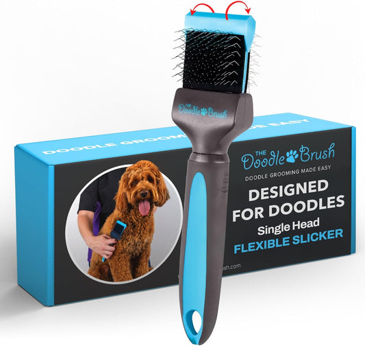 Slicker Brush for Dogs, Single Head Dog Hair Brushes, Flexible Head Slicker for Dogs, Poodle, Labradoodle, Sheepadoodle, Tangle-Free Grooming, Healthy & Shiny Coat Pet Brushes