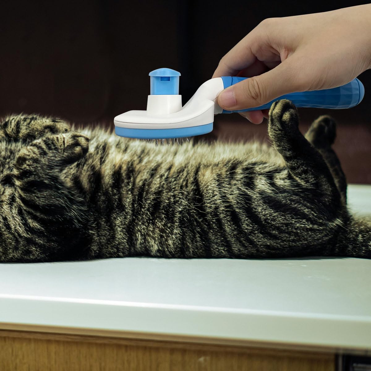 Pet Cleaning Deshedding Brush,Pet Hair Removal Brush for Shedding Massaging Grooming for Small Dogs,Cats,Rabbits(blue)
