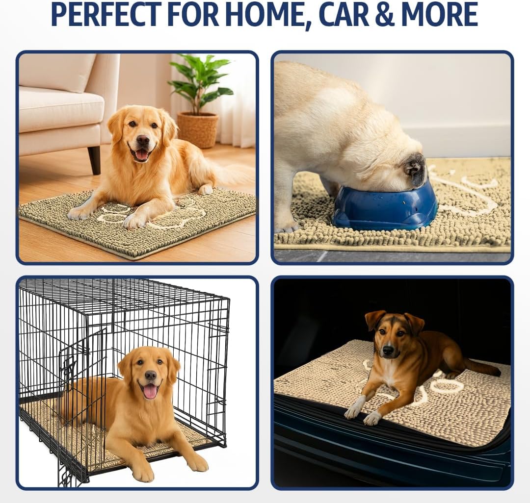 MUDGUARD MAT™ Dog Door Mat with Paw Design for Muddy Paws, Super Absorbent Microfiber, Non-Slip Indoor Mat, Quick-Dry Chenille Rug for Pets & Entryway, Machine Washable, Grey 16" x 24"