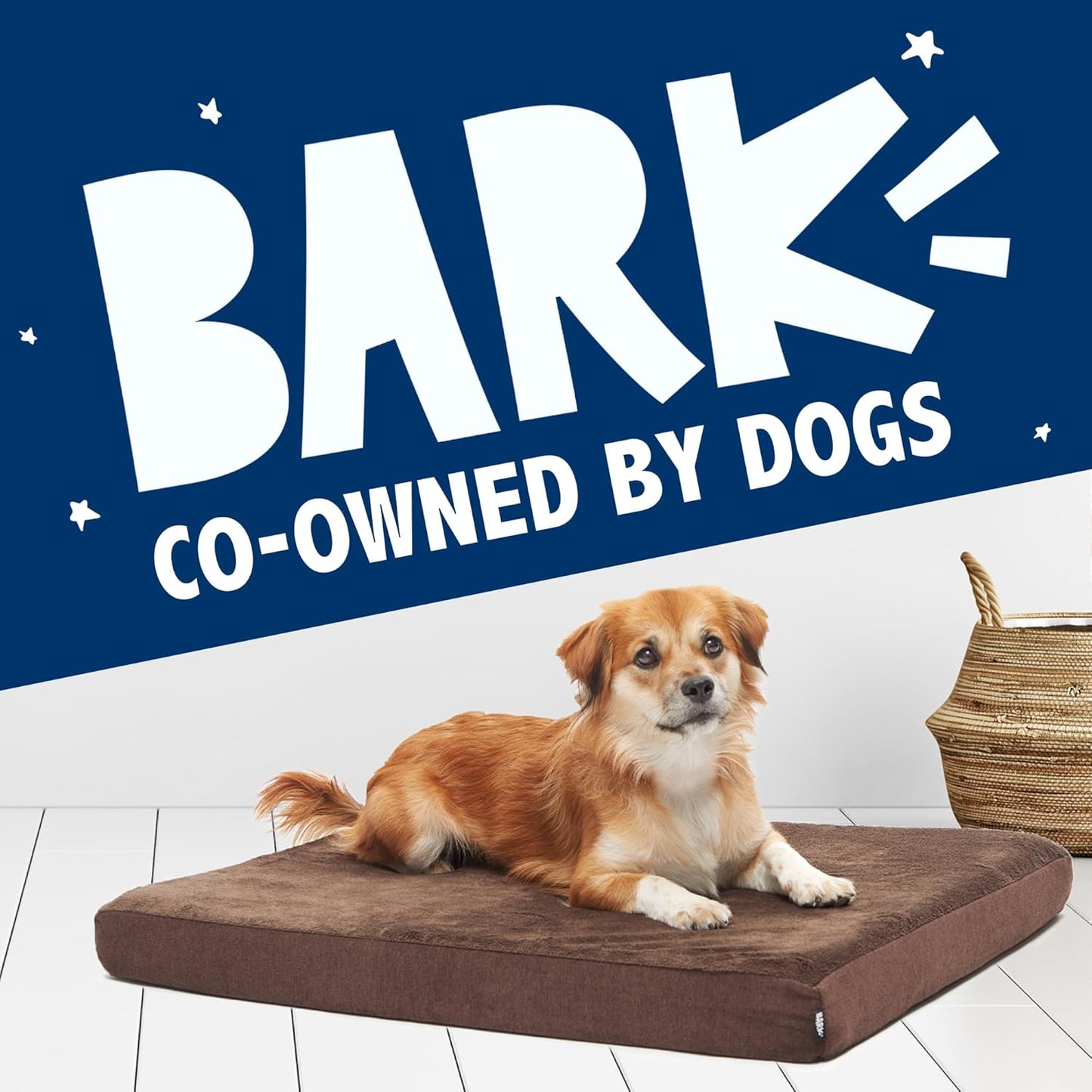 Barkbox Orthopedic Dog Bed with Memory Foam, Premium Comfort for Dogs and Puppies, Large Sized Dog Bed for Joint Relief and Restful Sleep, Durable and Easy to Clean - Grey, Large