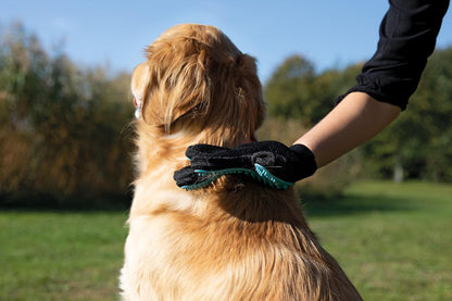 TRIXIE Pet Grooming Glove for Dogs and Cats, Cleans and Gently Softens Coat