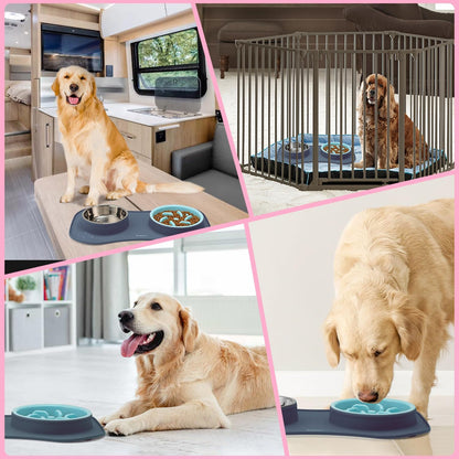 Anipaw Slow Feeder Dog Bowls 3 in 1 Stainless Steel Food and Water Bowls with Non-Spill and Skid Silicone Mat to Slow Down Eating for Large Medium Small Breed Size Dogs and Cats