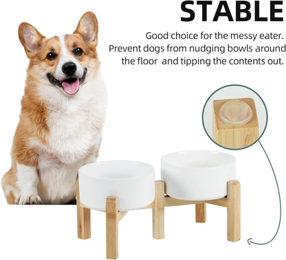Havniva 8.3” Dog Bowls Elevated Ceramic Dog Food and Water Bowl, Raised Dog Water Bowl with Stand Non-Slip Rubber Base Large Capacity Feeding Pet Food Bowl for Large Dogs