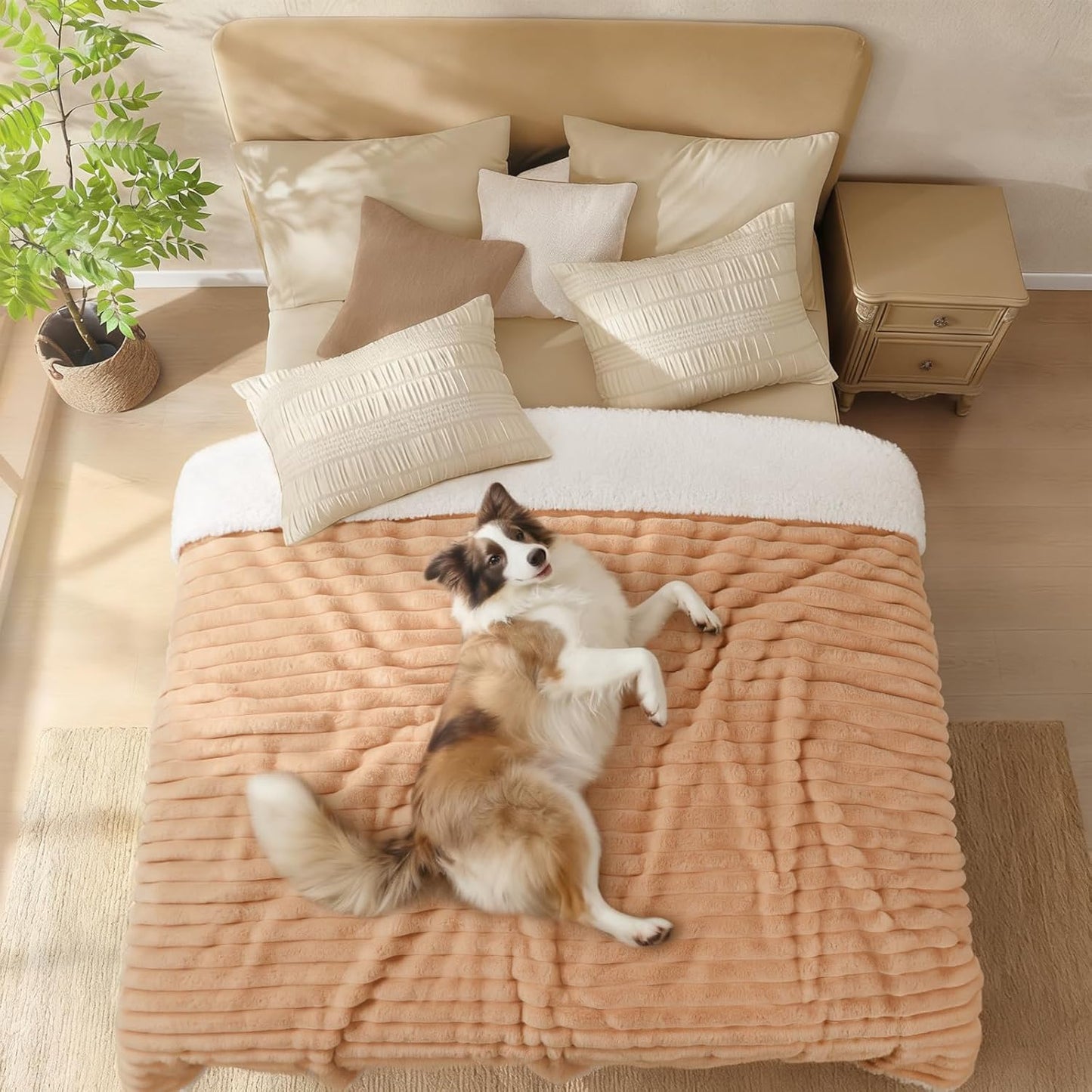 Luciphia Waterproof Dog Blanket for Large Dogs Ultra-Soft Calming Cut Pile Flannel Throw Durable & Warm Furniture Protection for Couch Bed Pet Blanket Machine Washable Stone Gray,L(65''x57'')