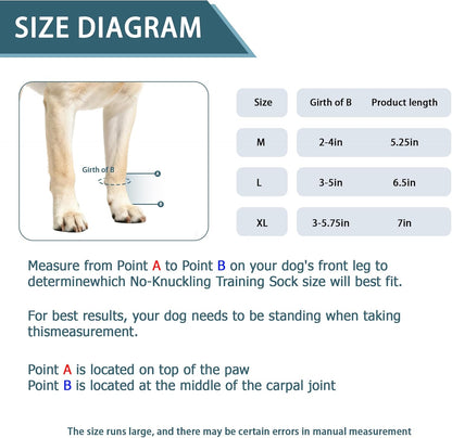 Dog Knuckling Brace, Dog Toe Grips for ACL Injury, Hock Fracture, Arthritis & Meniscus Tears, Rear Legs, L