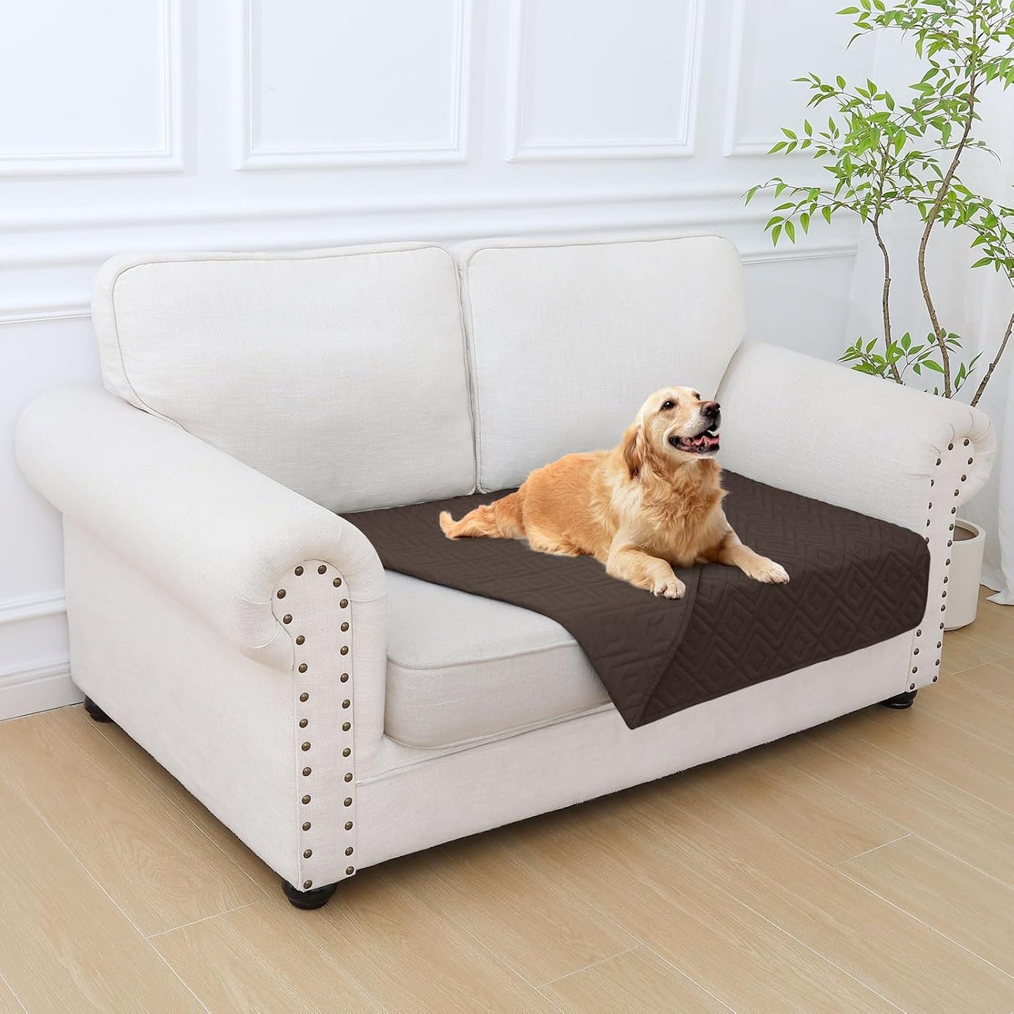 hyha Waterproof Dog Blanket, Soft Pet Bed Blankets, Waterproof Sofa Couch Cover for Dogs Washable, Reversible Pet Couch Covers for Sofa Furniture (30x70 Inch, Grey/Dark Grey)