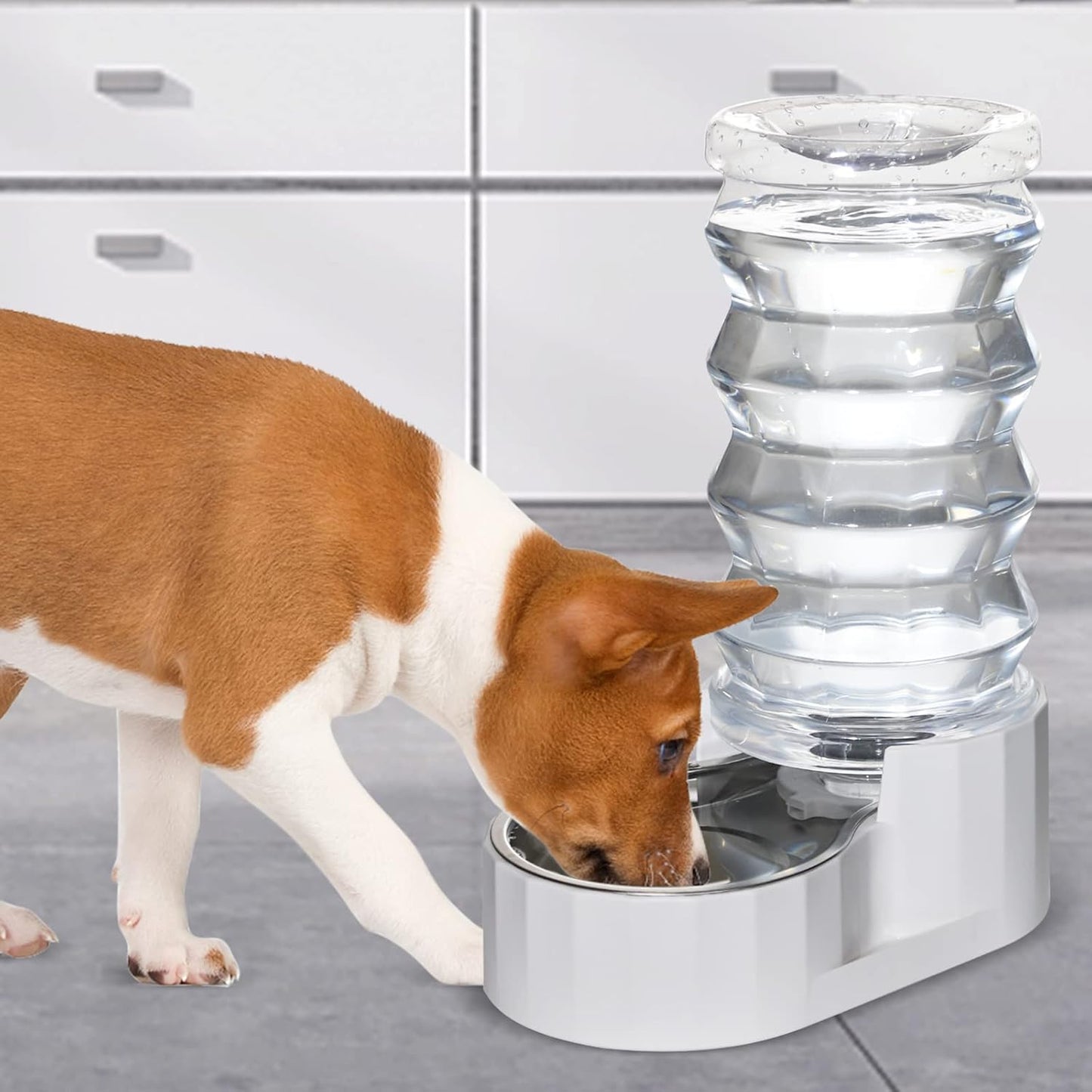 RIZZARI 8L Elevated Pet Water Dispenser – Stainless Steel Gravity Waterer with Auto-Refill Design for Medium and Large Dogs & Senior Pets -Comfortable Drinking Height for Living Rooms,Multi-Pet Homes